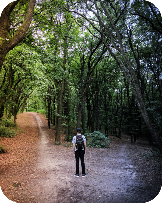 Split Paths